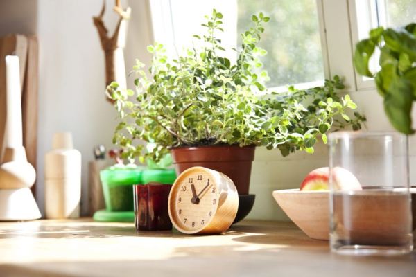 Indoor scene showing Muku clock on a window sill with plant, fruit bowl, class and other items
